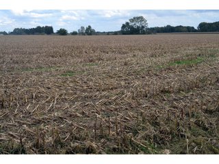 Property photo 77 - EHLE FARMS AUCTION - 118+/- ACRES IN 9 TRACTS IN ALLEN COUNTY, INDIANA
